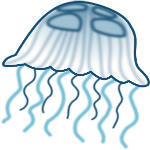 jellyfish